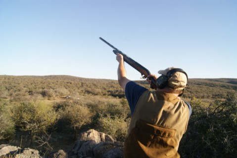 Dove shooter